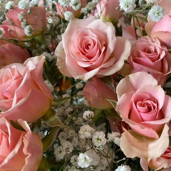 Meet your Posher, Amy - Picture 7 of 8